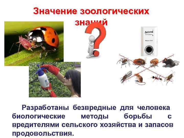  Значение зоологических   знаний  Разработаны безвредные для человека биологические  методы