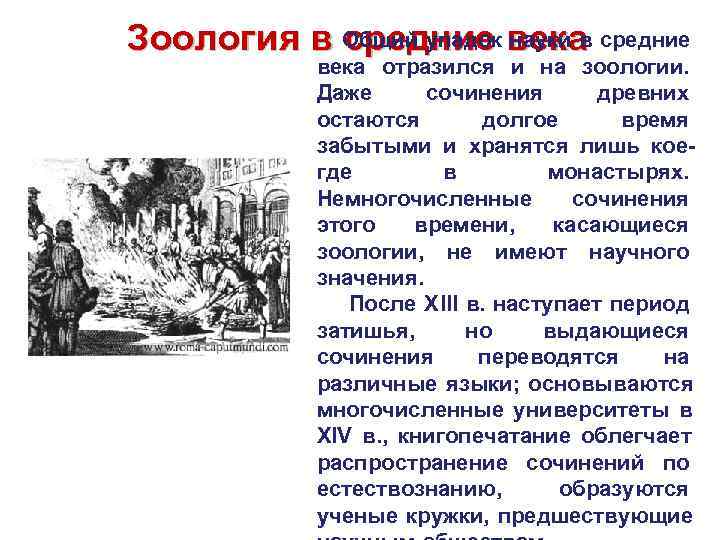 Зоология в Общий упадок века средние науки в   века отразился и на