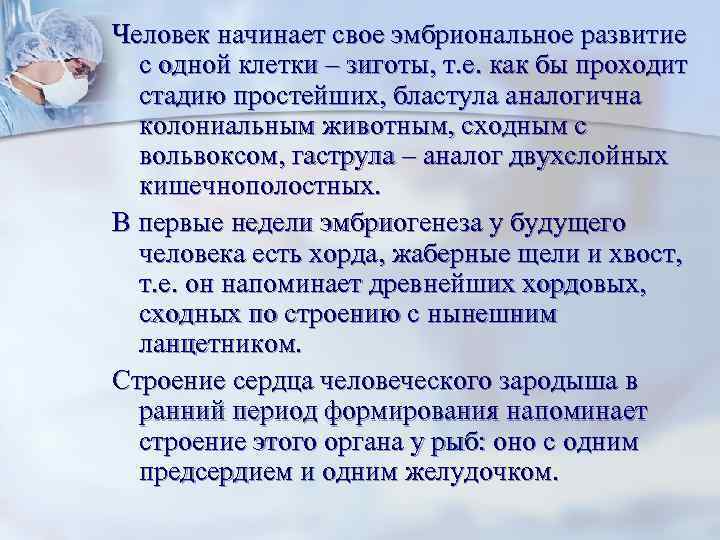 Человек начинает свое эмбриональное развитие  с одной клетки – зиготы, т. е. как