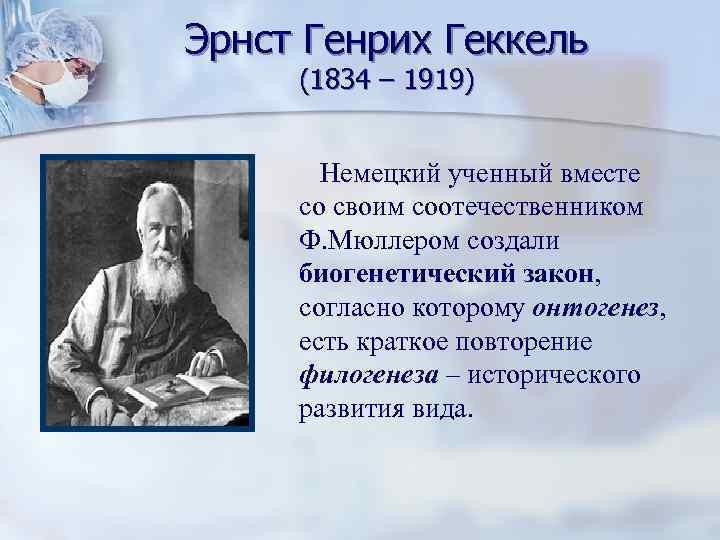 Эрнст Генрих Геккель (1834 – 1919)   Немецкий ученный вместе со своим соотечественником