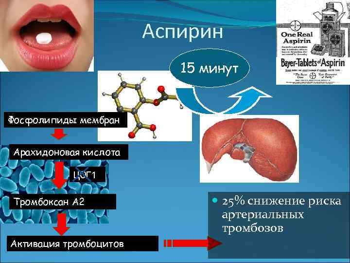Аспирин 15 минут Фосфолипиды мембран Арахидоновая кислота ЦОГ 1 Тромбоксан А 2 Активация тромбоцитов