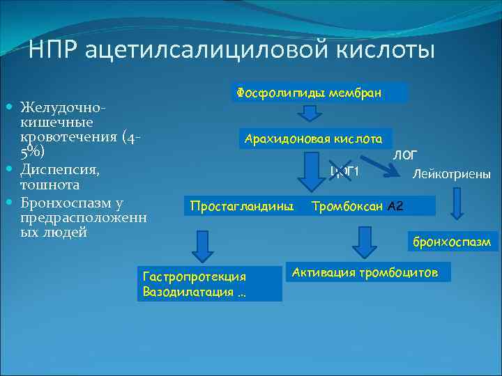 НПР ацетилсалициловой кислоты Желудочнокишечные кровотечения (45%) Диспепсия, тошнота Бронхоспазм у предрасположенн ых людей Фосфолипиды
