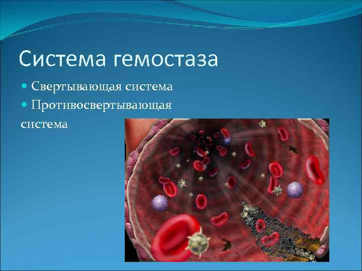 Система гемостаза Свертывающая система Противосвертывающая система 