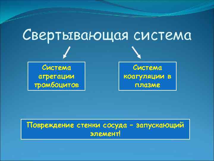 Свертывающая система Система агрегации тромбоцитов Система коагуляции в плазме Повреждение стенки сосуда – запускающий