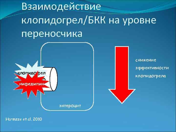Взаимодействие клопидогрел/БКК на уровне переносчика снижение эффективности клопидогрела pgp нифедипин энтероцит Harmsze et al.