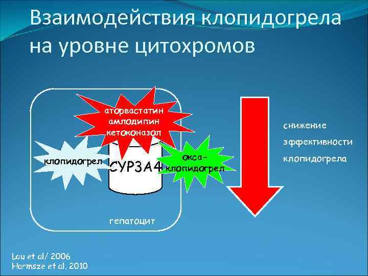 Взаимодействия клопидогрела на уровне цитохромов аторвастатин амлодипин кетоконазол клопидогрел CYP 3 A 4 гепатоцит