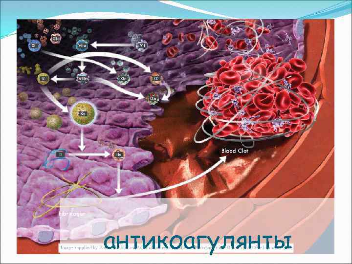 Каскад коагуляции антикоагулянты 
