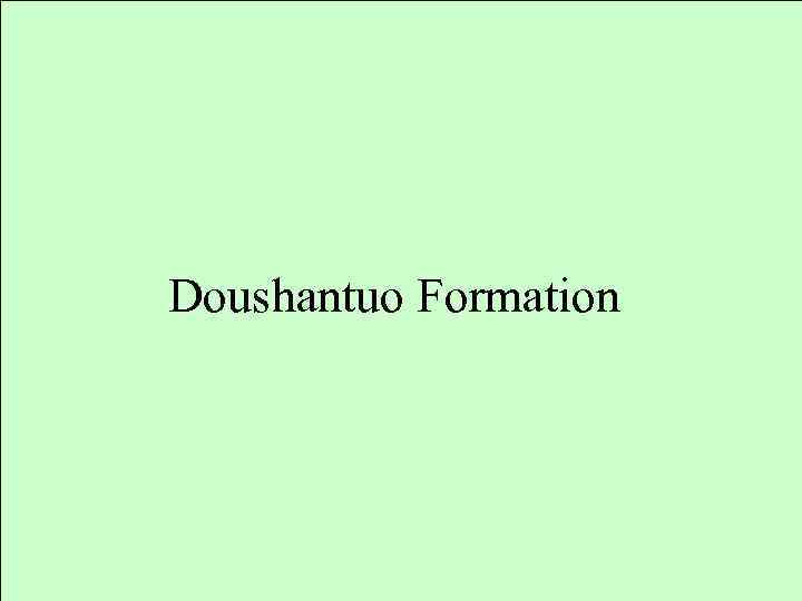 Doushantuo Formation 