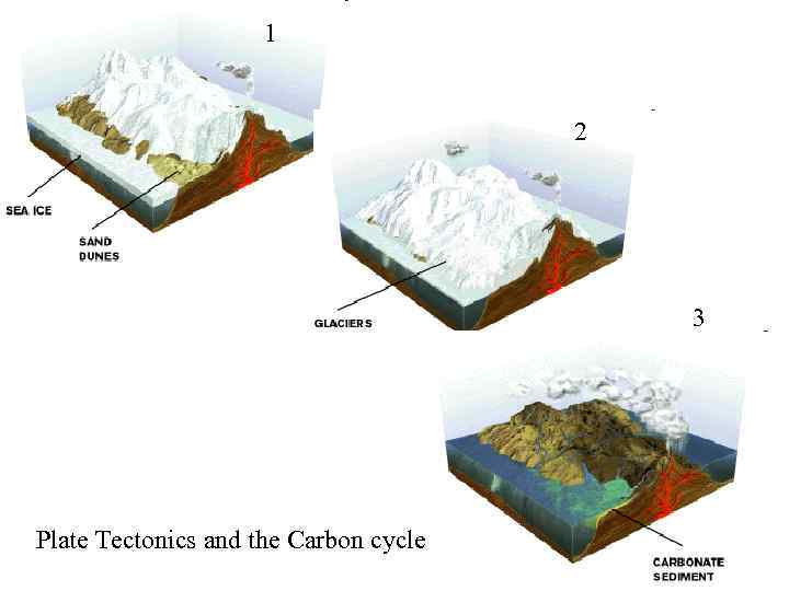 1 2 3 Plate Tectonics and the Carbon cycle 
