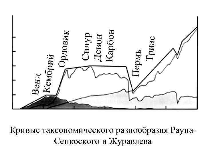 Кривые таксономического разнообразия Раупа. Сепкоского и Журавлева 