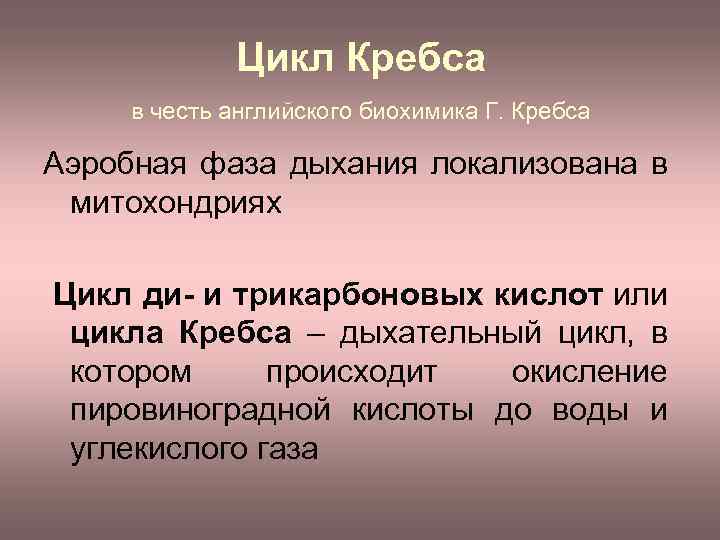 Цикл Кребса в честь английского биохимика Г. Кребса Аэробная фаза дыхания локализована в митохондриях