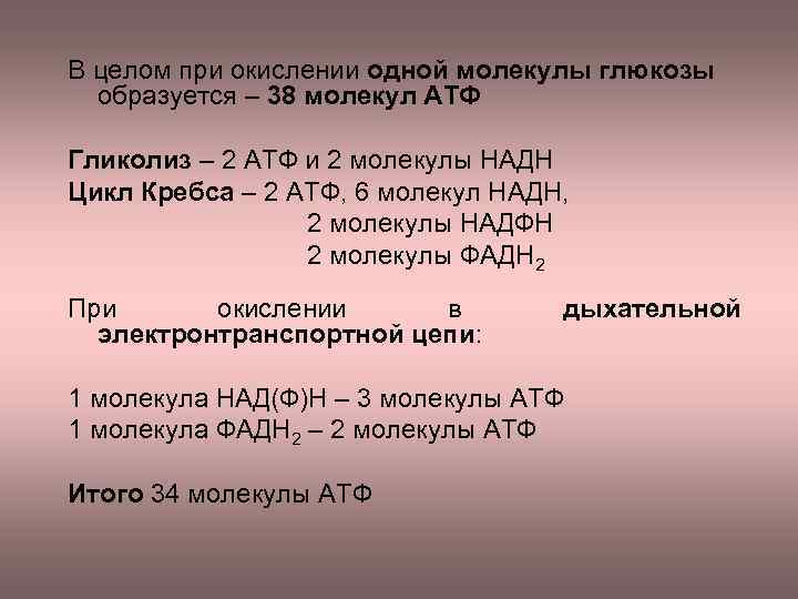 В целом при окислении одной молекулы глюкозы образуется – 38 молекул АТФ Гликолиз –