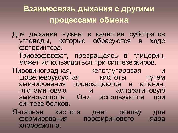 Взаимосвязь дыхания с другими процессами обмена Для дыхания нужны в качестве субстратов углеводы, которые