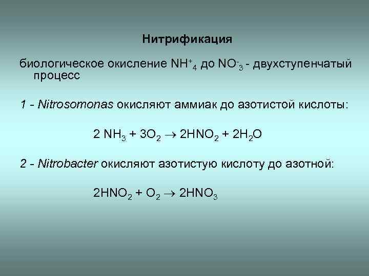 Нитрификация биологическое окисление NH+4 до NO-3 - двухступенчатый процесс 1 - Nitrosomonas окисляют аммиак