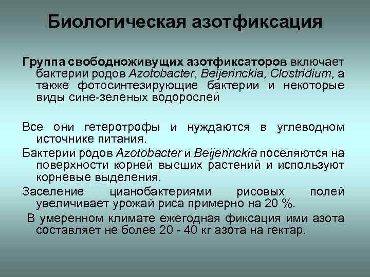 Азотфиксация почвы. Биологическая фиксация азота. Биологическая азотфиксация. Азотфиксация микробиология. Ассоциативная азотфиксация.