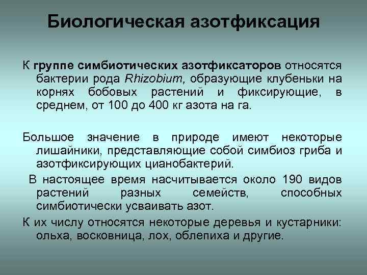 Способны к фиксации атмосферного азота