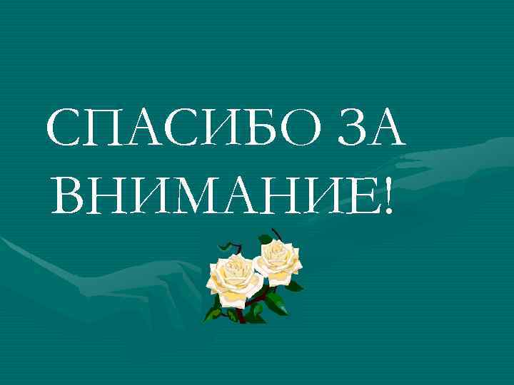 СПАСИБО ЗА ВНИМАНИЕ! 