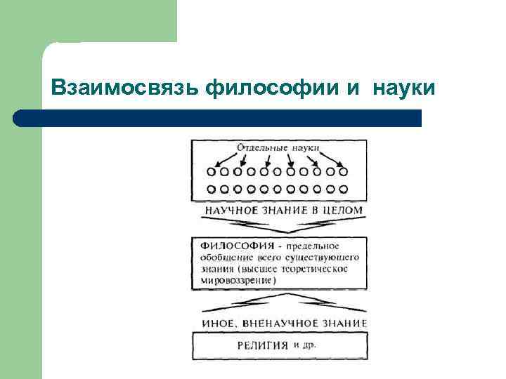 Соотношение философия. Взаимосвязь философии. Соотношение философии и науки. Взаимосвязь философии с другими науками. Взаимосвязь философии и гуманитарных наук.