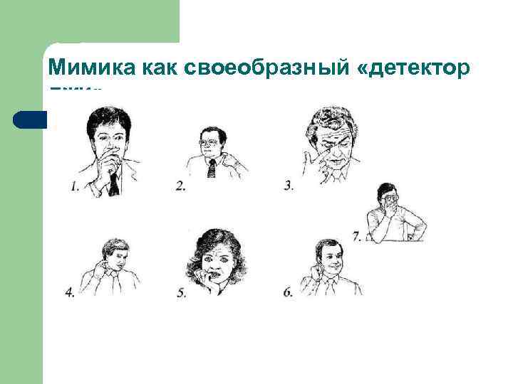 Мимика как своеобразный «детектор лжи» 