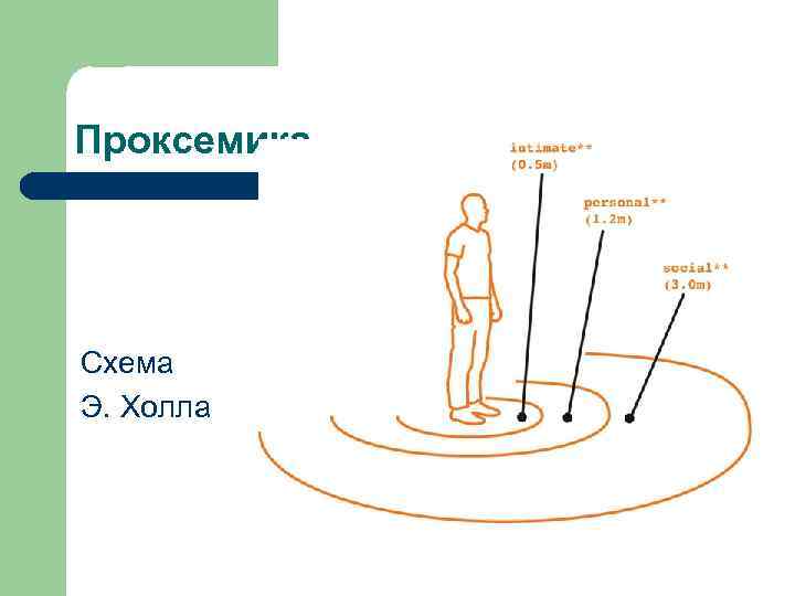 Проксемика Схема Э. Холла 