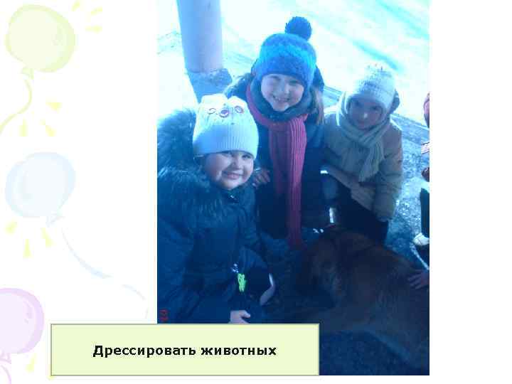 Дрессировать животных 