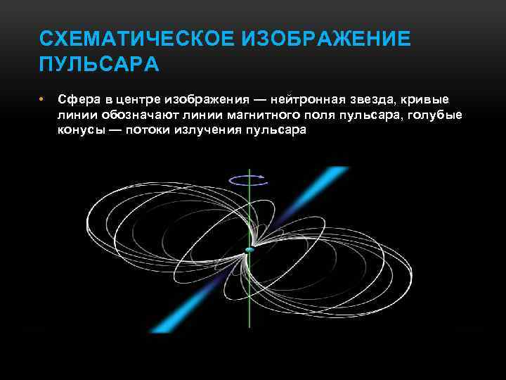 СХЕМАТИЧЕСКОЕ ИЗОБРАЖЕНИЕ ПУЛЬСАРА • Сфера в центре изображения — нейтронная звезда, кривые линии обозначают