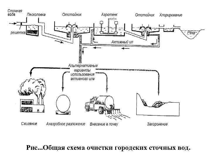 Рис. . . Общая схема очистки городских сточных вод. 