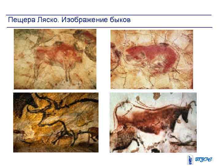 Пещера Ляско. Изображение быков 