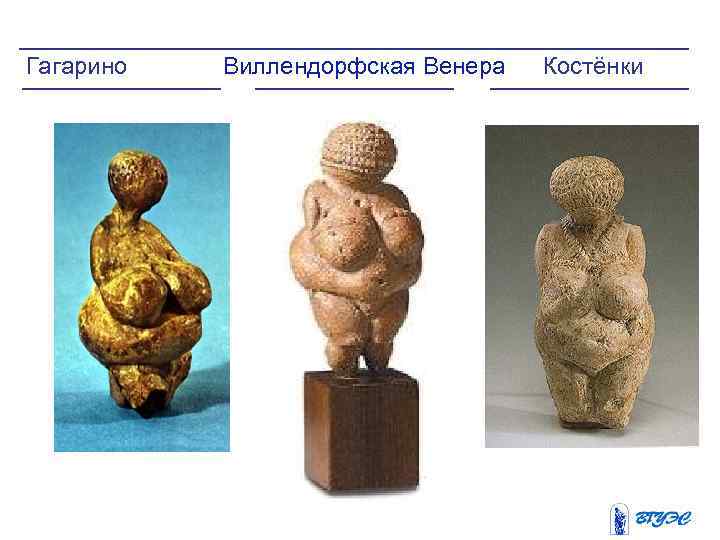 Гагарино Виллендорфская Венера Костёнки 