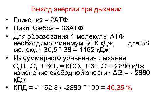 Клеточное дыхание молекулы атф. Выход энергии при гликолизе. Выход энергии АТФ при гликолизе. Выход энергии при дыхании. Количество энергии дыхания.