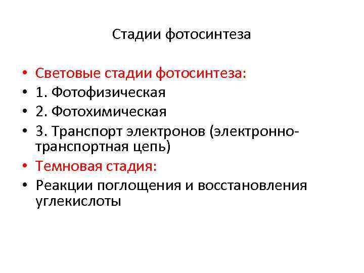 Стадии фотосинтеза Световые стадии фотосинтеза: 1. Фотофизическая 2. Фотохимическая 3. Транспорт электронов (электронно транспортная
