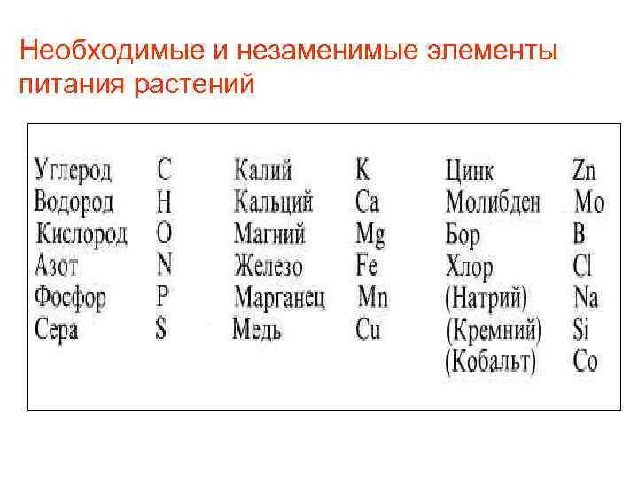 Необходимые и незаменимые элементы питания растений 