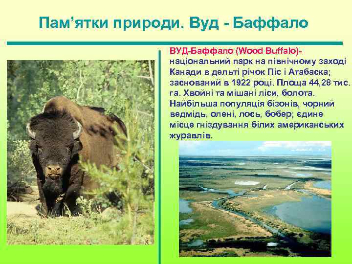 Пам’ятки природи. Вуд - Баффало ВУД-Баффало (Wood Buffalo)- національний парк на північному заході Канади