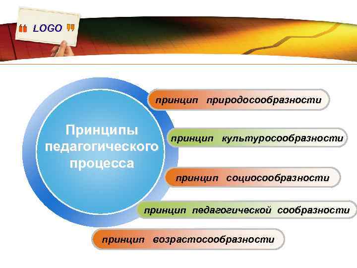 LOGO принцип природосообразности Принципы педагогического процесса принцип культуросообразности принцип социосообразности принцип педагогической сообразности принцип