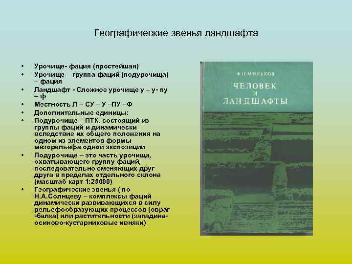 Географические звенья ландшафта • • Урочище- фация (простейшая) Урочище – группа фаций (подурочища) –