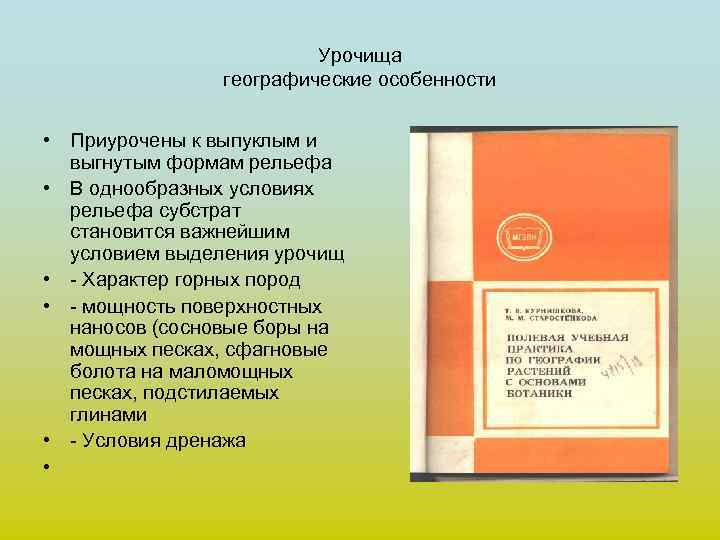 Урочища географические особенности • Приурочены к выпуклым и выгнутым формам рельефа • В однообразных