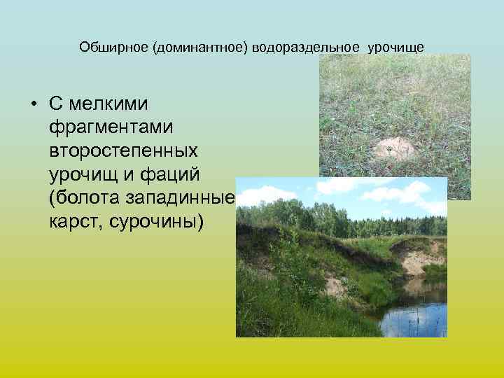 Обширное (доминантное) водораздельное урочище • С мелкими фрагментами второстепенных урочищ и фаций (болота западинные,