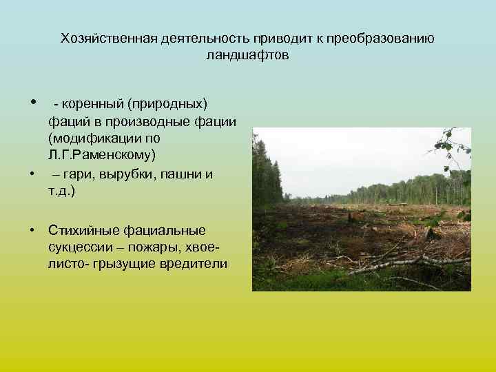 Хозяйственная деятельность приводит к преобразованию ландшафтов • - коренный (природных) фаций в производные фации