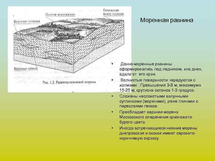 Моренная равнина • • • Донно-моренные равнины сформировались под ледником, «на дне» , вдали