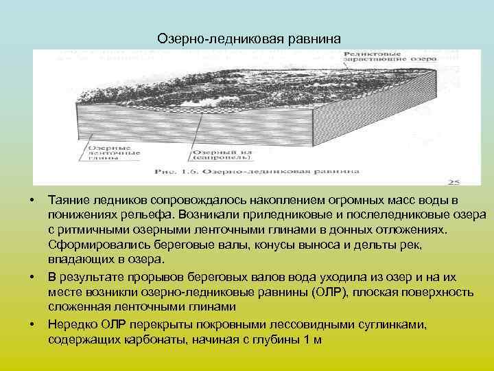 Озерно-ледниковая равнина • • • Таяние ледников сопровождалось накоплением огромных масс воды в понижениях