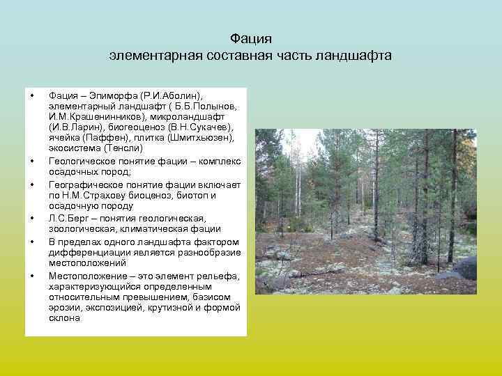 Фация элементарная составная часть ландшафта • • • Фация – Эпиморфа (Р. И. Аболин),