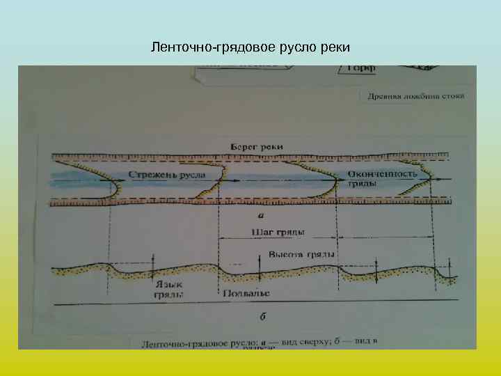 Ленточно-грядовое русло реки 