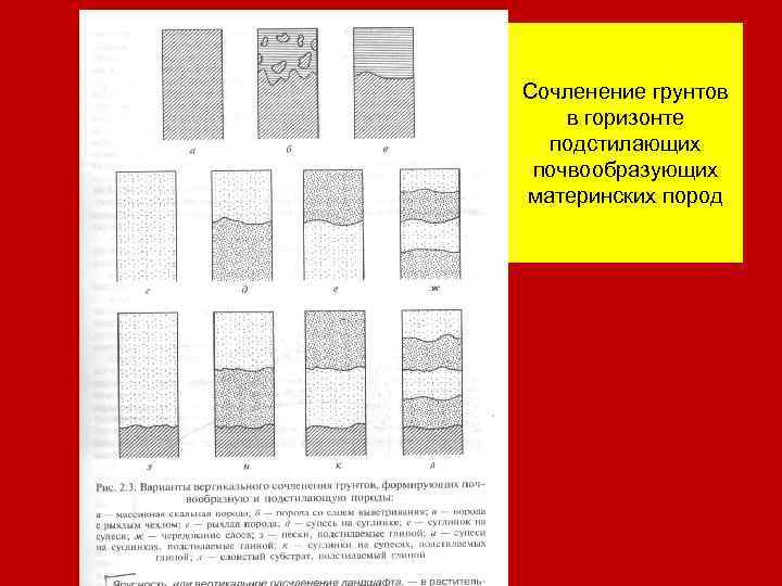 Сочленение грунтов в горизонте подстилающих почвообразующих материнских пород 
