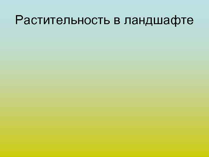 Растительность в ландшафте 
