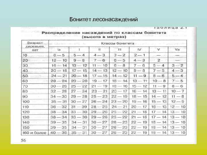 Бонитет лесонасаждений 