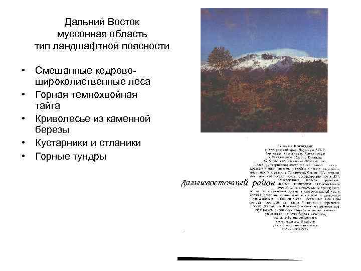 Дальний Восток муссонная область тип ландшафтной поясности • Смешанные кедровошироколиственные леса • Горная темнохвойная