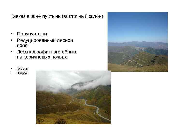 Кавказ в зоне пустынь (восточный склон) • Полупустыни • Редуцированный лесной пояс • Леса
