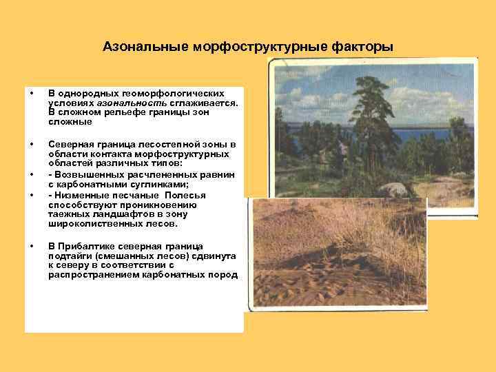 Азональные морфоструктурные факторы • В однородных геоморфологических условиях азональность сглаживается. В сложном рельефе границы