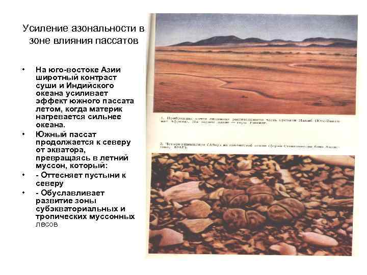 Усиление азональности в зоне влияния пассатов • • На юго-востоке Азии широтный контраст суши