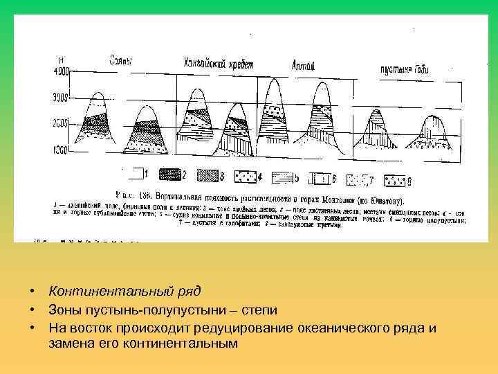  • Континентальный ряд • Зоны пустынь-полупустыни – степи • На восток происходит редуцирование